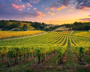 Foto Terreno agricolo in via san matteo, Monterotondo Reviola, Piedicosta