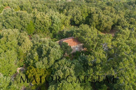 Foto Terreno agricolo in VIA LU PINU, Calangianus in vendita