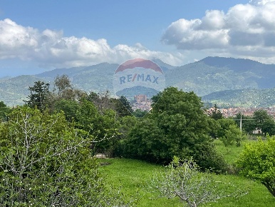 Foto Terreno residenziale in contrada scondito, Castelbuono di 24500 m²