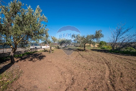 Foto Terreno agricolo in San Nicolò le Canne, Caltagirone in vendita
