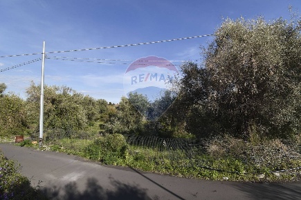 Foto Terreno agricolo in Via S. Sfera, San Pietro Clarenza in vendita