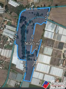 Foto Terreno agricolo in Via Guado, Fondi di 56000 m² in vendita