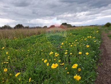 Foto Paternò in vendita