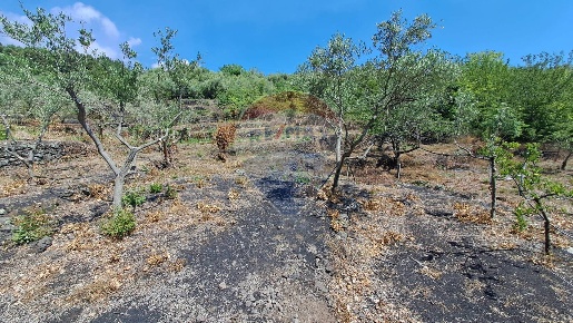 Foto Terreno agricolo in Contrada Monacella, Santa Venerina in vendita