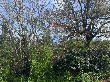 Foto Terreno agricolo in CONTRADA VERDINA, San Giovanni la Punta in vendita
