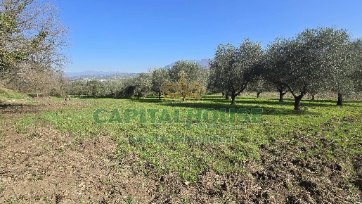 Foto Terreno agricolo a Sant'Agata de' Goti di 4300 m² in vendita