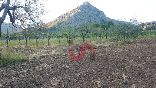 Foto Terreno agricolo in Via Comunale Ospedale, Foglianise Centro