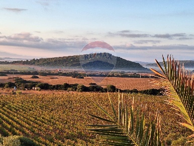 Foto Terreno agricolo a Sassari in vendita