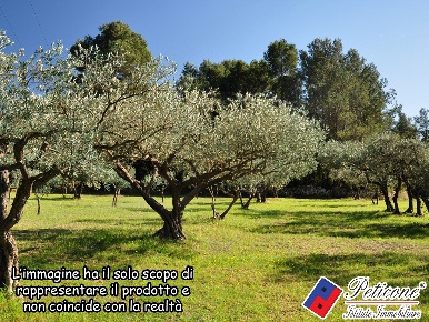 Foto Terreno agricolo in Valle Bernardo, Lenola Valle Bernardo di 8800 m²