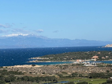 Foto Terreno residenziale in Barrabisa, Palau in vendita