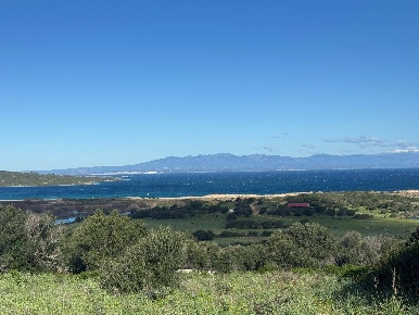 Foto Terreno residenziale in Barrabisa, Palau di 5000 m² in vendita