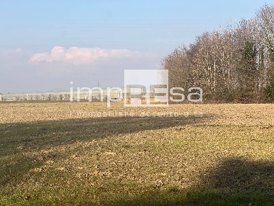 Foto Terreno agricolo in via Monte Grappa, Marcon di 18000 m² in vendita