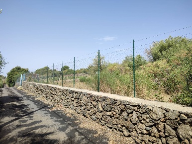 Foto Terreno agricolo a Santa Maria di Licodia in vendita