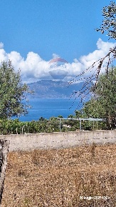 Foto Terreno agricolo in Contrada Paternella, Terrasini di 1376 m²