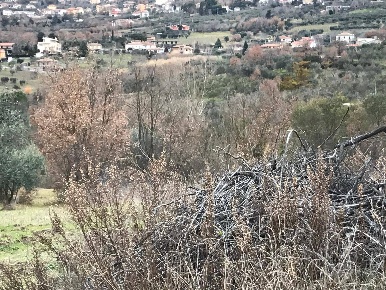 Foto Terreno agricolo in Foglianise, Foglianise Centro di 15000 m²