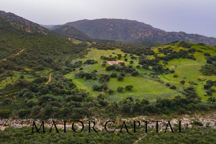 Foto Terreno agricolo in Loc. Osseddu, Berchidda in vendita