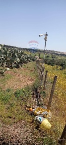 Foto Terreno agricolo a Caltagirone in vendita