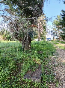 Foto Terreno residenziale in Contrada Mazzone, Caltagirone in vendita