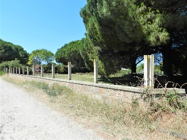 Foto Terreno agricolo in Poggio della Birba, Tarquinia San Giorgio