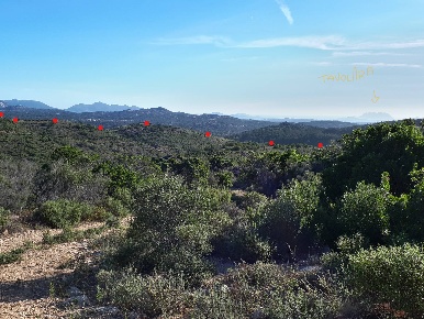 Foto Terreno agricolo in Loc. Sualza, Berchidda in vendita