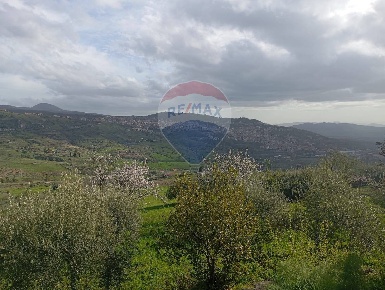 Foto Terreno agricolo in contrada corvo, Bronte in vendita
