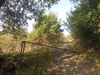 Foto Terreno agricolo in strada comunale della Caprara, Guidonia Montecelio