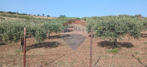 Foto Terreno agricolo in corso margherito, Maniace in vendita