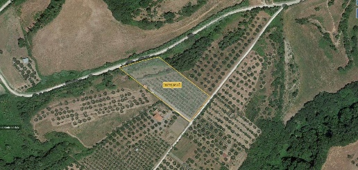 Foto Terreno agricolo in località Naiella, Farnese di 11000 m² in vendita