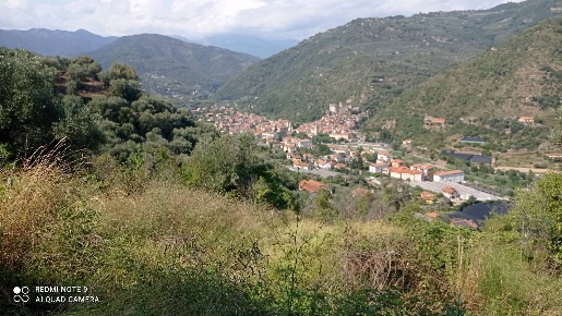 Foto Terreno agricolo a Dolceacqua di 5000 m² in vendita