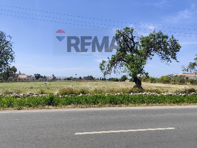 Foto Terreno agricolo in via elorina 174, Siracusa Pantanelli - Elorina