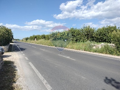 Foto Terreno agricolo in via elorina, Siracusa Pantanelli - Elorina