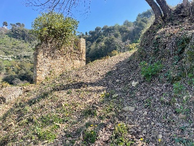 Foto Terreno residenziale a San Biagio della Cima di 6400 m² in vendita