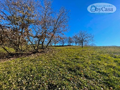 Foto Terreno agricolo in Canale Monterano, Canale Monterano Centro