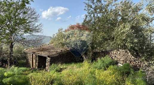 Foto Terreno agricolo in Pirao, Randazzo di 6170 m² in vendita