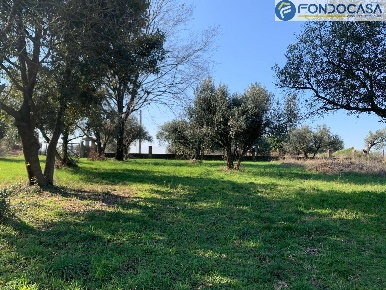 Foto Terreno residenziale in via dell'ara, Gallicano nel Lazio Centro