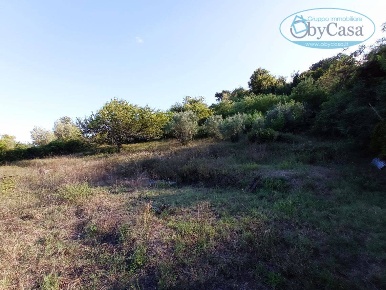 Foto Terreno agricolo in via gubbio, Bracciano Centro di 2750 m² in vendita