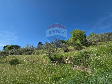 Foto Terreno agricolo in VIA DEL FRATINO, Castelfranco Piandiscò di 5380 m²