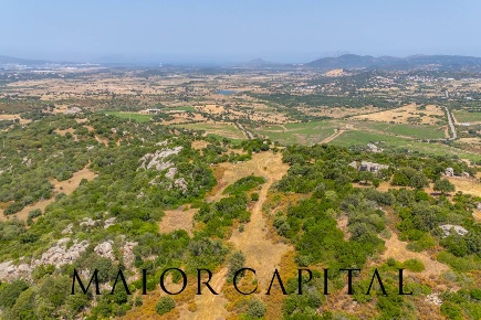 Foto Terreno residenziale in SP66, Loiri Porto San Paolo in vendita