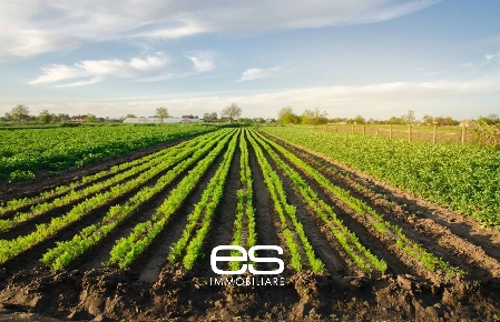 Foto Terreno agricolo a Cassago Brianza di 12000 m² in vendita