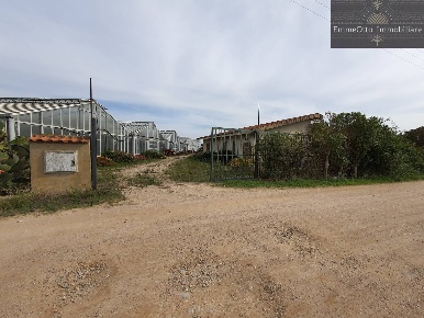 Foto Terreno agricolo in loc. sa nuxedda, Assemini di 20000 m² in vendita