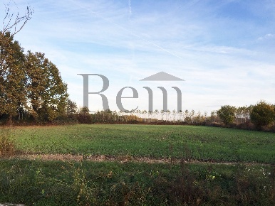 Foto Terreno agricolo in Via dei Munaron, Piombino Dese di 57000 m²