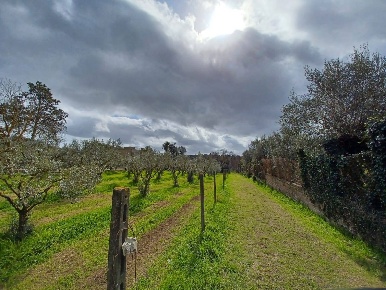 Foto Terreno agricolo in via santa fumia, Castel Gandolfo di 2500 m²