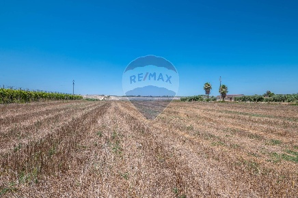 Foto Terreno agricolo in San Lorenzo Vecchio, Noto di 15240 m² in vendita