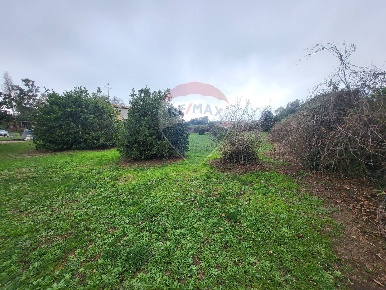 Foto Terreno residenziale in Via Nettunense, Anzio Cocchino di 3000 m²