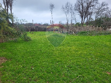 Foto Terreno residenziale in Via Nettunense, Anzio Cocchino di 3000 m²