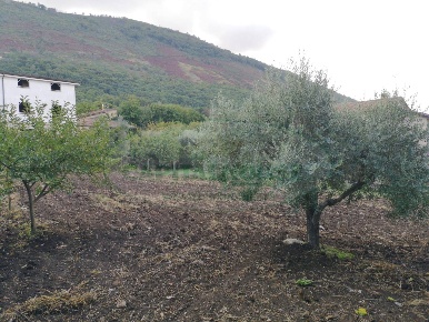 Foto Terreno residenziale a Sant'Agata de' Goti Bagnoli di 721 m²
