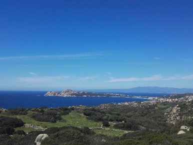 Foto Terreno agricolo in SP90, Santa Teresa Gallura in vendita