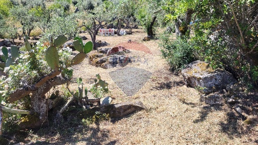 Foto Terreno residenziale in v. regione siciliana. C.da Caputo, Monreale