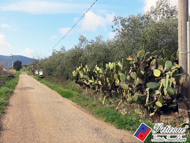 Foto Terreno agricolo in Via Cesullo, Fondi di 7890 m² in vendita