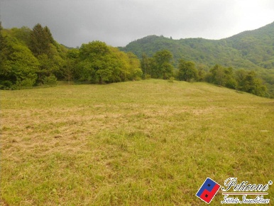 Foto Terreno agricolo in Via Ligurio, Fondi Centro di 25000 m² in vendita